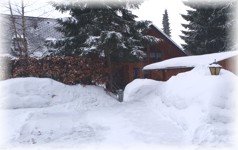 Haus am Wald - Winter - Parkplatz